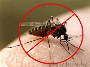 Уничтожение комаров в Алматы и Алматинской области - Изображение #1, Объявление #1131164