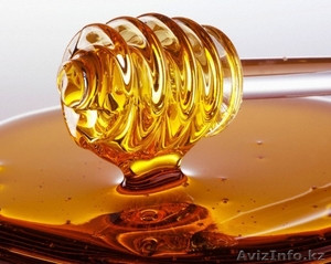 Продам мёд гречишный и разнотравный оптом - Изображение #1, Объявление #1131150