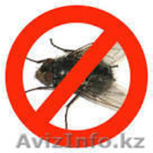 Уничтожение мух в Алматы и Алматинской области - Изображение #1, Объявление #1131160