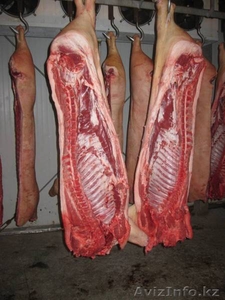 Свинина,говядина в полутушах от 3 тонн - Изображение #2, Объявление #1148848