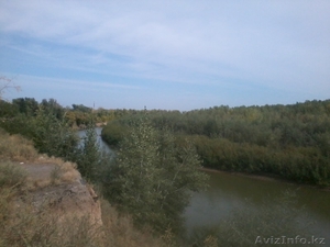 Эй! Посмотрите,  что мы для вас нашли. Небольшой особнячок