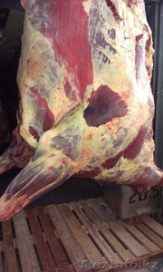Свинина,говядина в полутушах от 3 тонн - Изображение #1, Объявление #1148848