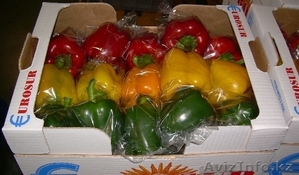 Продаем овощи и фрукты из Испании - Изображение #8, Объявление #1141345