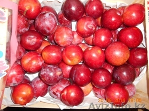 яблоки и др. фрукты из европы - Изображение #5, Объявление #1156952