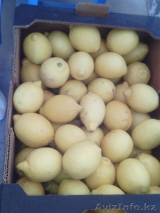 продаем лимон из Испании - Изображение #5, Объявление #1159610