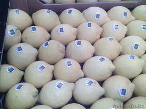 продаем лимон из Испании - Изображение #1, Объявление #1159610