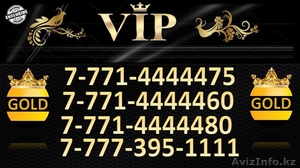 Золотые VIP номера Beeline0 8-771-44444-75 (др. номера внутри) - Изображение #1, Объявление #1185336