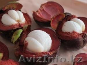 сок ксанго целебный напиток повышает иммунитет