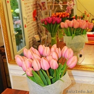 Отличная скидка на букет из 31 голландского тюльпана - Изображение #1, Объявление #1207782