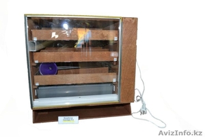 инкубатор в шымкенте,  Инкубатор российский,  автоматический!