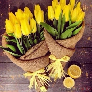 Голландские тюльпаны! - Изображение #2, Объявление #1223034