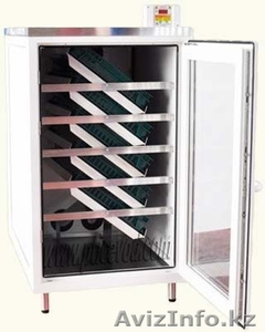 Инкубатор Российский на 520 яиц,  Полностью автоматический!