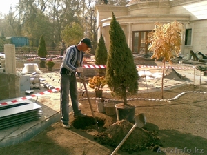 Услуги садовника, ландшафтного дизайнера в Алматы.  - Изображение #4, Объявление #1235723