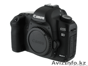 Canon EOS mark II - Изображение #4, Объявление #1237163