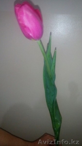 Цветы - Тюльпаны - Изображение #2, Объявление #1230729