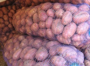 Отличный картофель из Павлодара