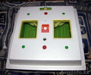 инкубатор купить