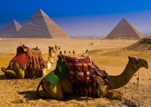Туры в солнечный Египет - Изображение #3, Объявление #1250411