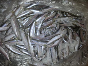 Cертифицированная,  высококачественная рыба мороженая