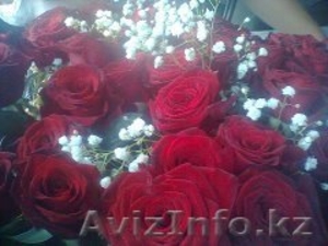 Продаю цветы розы по оптовай цене - Изображение #2, Объявление #1281188
