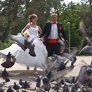 Видеосъемка в Алматы от Best Movie - Изображение #3, Объявление #1285068