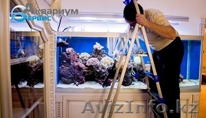 Обслуживание аквариумов морских и пресноводных - Изображение #1, Объявление #1284560