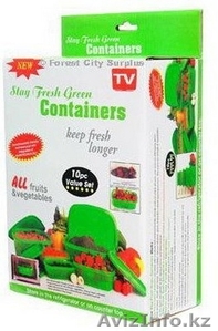 Контейнеры Stay Fresh Green Container 43039  - Изображение #2, Объявление #1295379