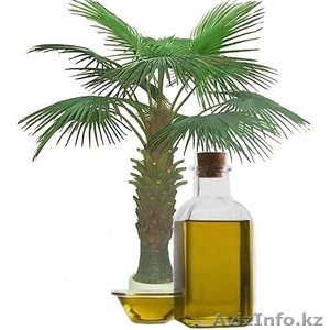 Пальмовое масло, жиры - Изображение #2, Объявление #1327146