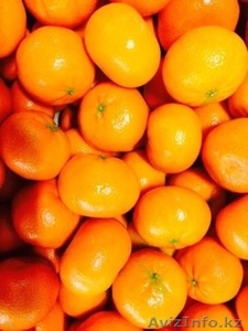 Предлагаем мандарины из Испании - Изображение #1, Объявление #1328756