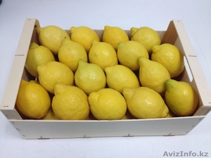 Продаем лимоны из Испании - Изображение #1, Объявление #1328762