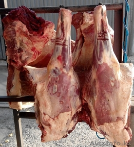 Мясо говядина конина баранина из Кордай и копчённое мясо и  казы  - Изображение #3, Объявление #1224434