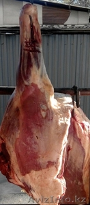 Мясо говядина конина баранина из Кордай и копчённое мясо и  казы  - Изображение #1, Объявление #1224434