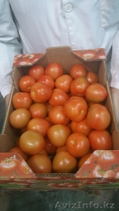 продаем помидоры - Изображение #4, Объявление #1168641