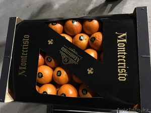 мандарины,апельсины,лимоны из Испании - Изображение #8, Объявление #1129256