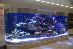 Изготовление и  готовые аквариумы алматы - Изображение #1, Объявление #1365122