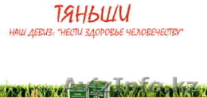 Акупунктурная диагностика всего организма