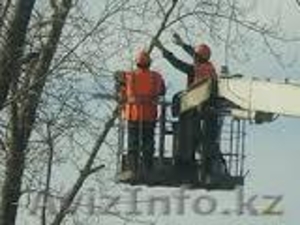 Спил деревьев любой сложности в Алматы - Изображение #5, Объявление #1383919
