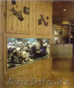 изготовление аквариумов с заселением и обслугой - Изображение #6, Объявление #1388897