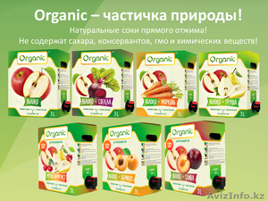 Натуральный сок прямого отжима "Organic" в 3л уп, bag in box, производство Кыргы - Изображение #2, Объявление #1423399