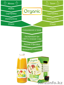 Натуральный сок прямого отжима "Organic" в 3л уп, bag in box, производство Кыргы - Изображение #5, Объявление #1423399