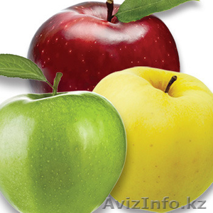 Элитные саженцы яблони - Сербия, Италия, Голландия, Польша... - Изображение #1, Объявление #1443351