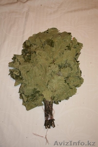 Веники для бани дубовые 