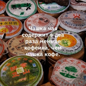 Натуральный китайский чай в Алматы!  - Изображение #2, Объявление #1459725