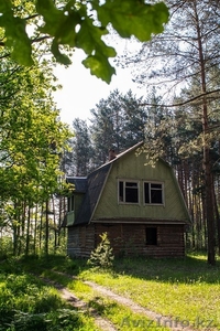База отдыха в лесу у реки рядом с Бобруйском - Изображение #3, Объявление #1448834