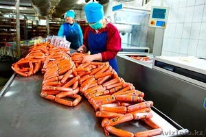  На работу в Польше нужны упаковщики колбасных изделий - Изображение #2, Объявление #1468424