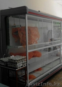  холодилник витринныслаисеры  камера для хранение и костирейзка для мясо - Изображение #9, Объявление #1466764