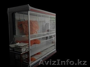  холодилник витринныслаисеры  камера для хранение и костирейзка для мясо - Изображение #1, Объявление #1466764