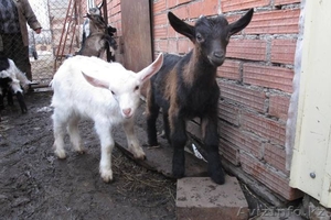 Хорошее начало своего 