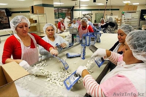  Работа в Польше на кондитерской фабрике - Изображение #1, Объявление #1485005