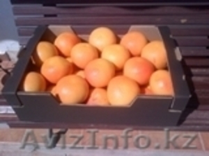 Грейпфрут Pomelo из Испании - Изображение #1, Объявление #1492703